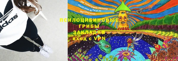 каннабис Ельня