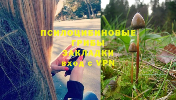 каннабис Ельня