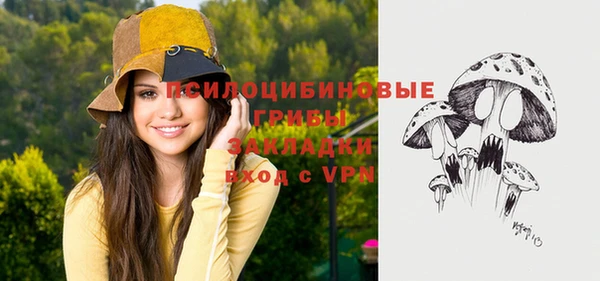 каннабис Ельня