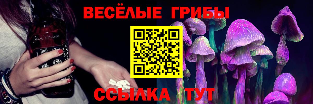 Галлюциногенные грибы MAGIC MUSHROOMS  Вход с VPN  Выкса  Псилоцибиновые грибы MAGIC MUSHROOMS 