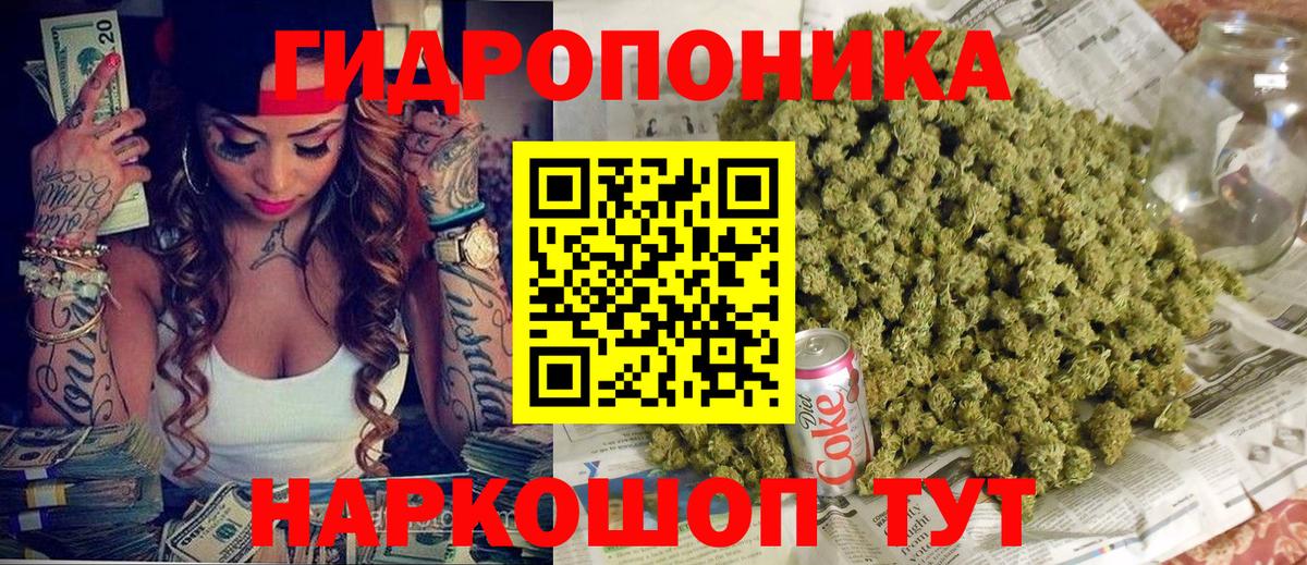 Бошки марихуана семена  Вход с VPN  Выкса  Бошки Шишки SATIVA & INDICA  Каннабис White Widow 